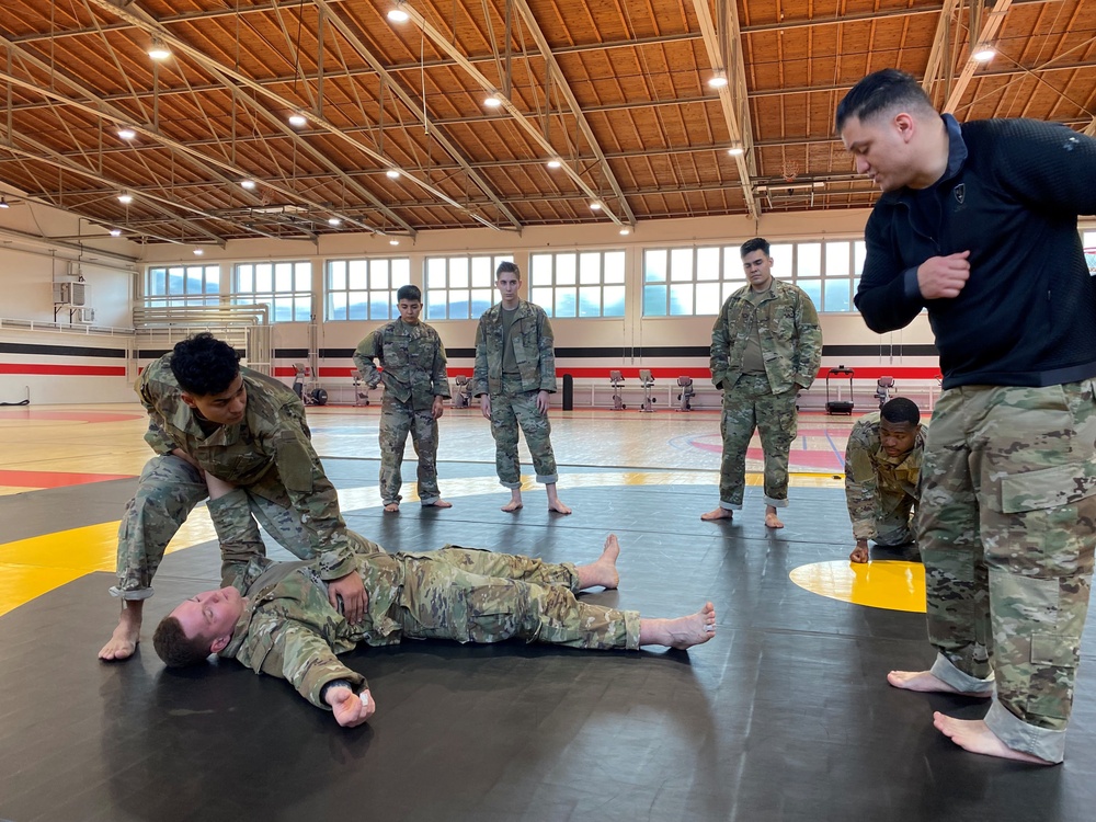 Brigade Soldiers take hand-to-hand combat skills to next level