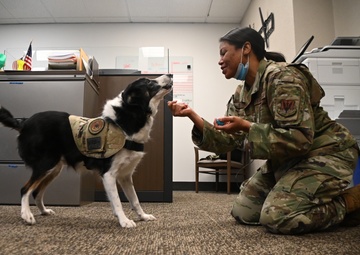 118th Wing National K9 Veterans Day
