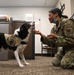 118th Wing National K9 Veterans Day