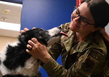 118th Wing National K9 Veterans Day