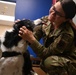 118th Wing National K9 Veterans Day