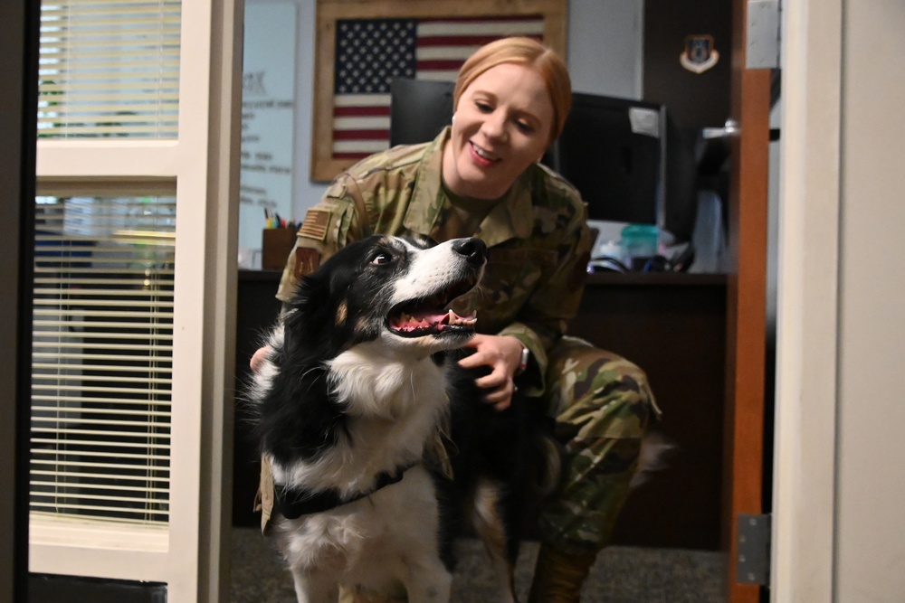 118th Wing National K9 Veterans Day