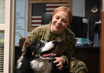 118th Wing National K9 Veterans Day