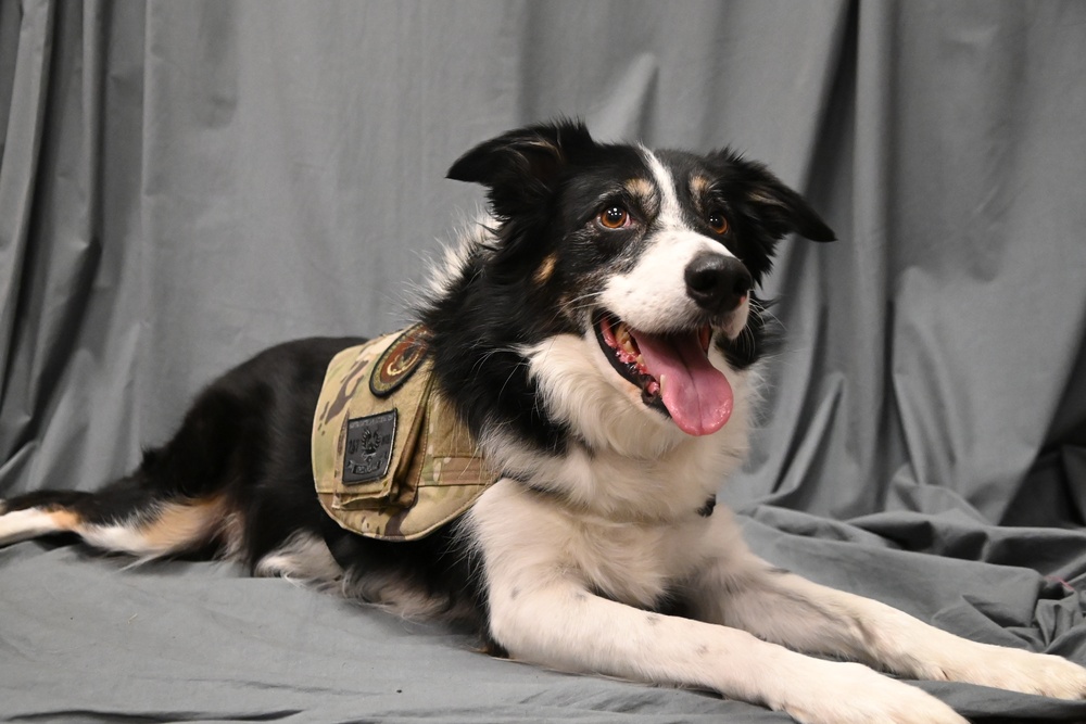 118th Wing National K9 Veterans Day