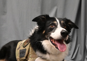 118th Wing National K9 Veterans Day