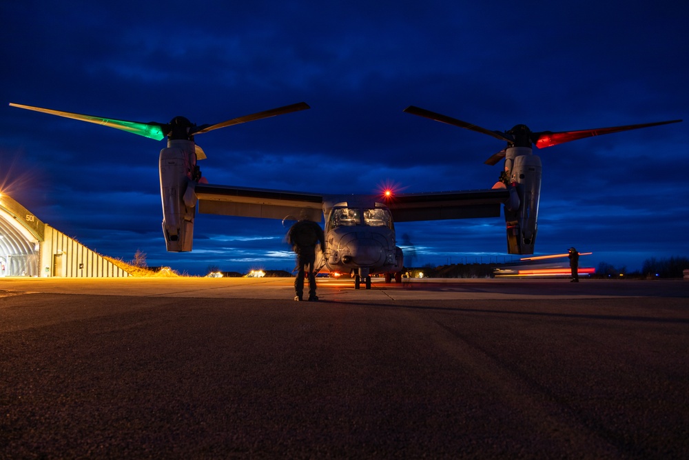 Ospreys Fly Around The Clock In Norway