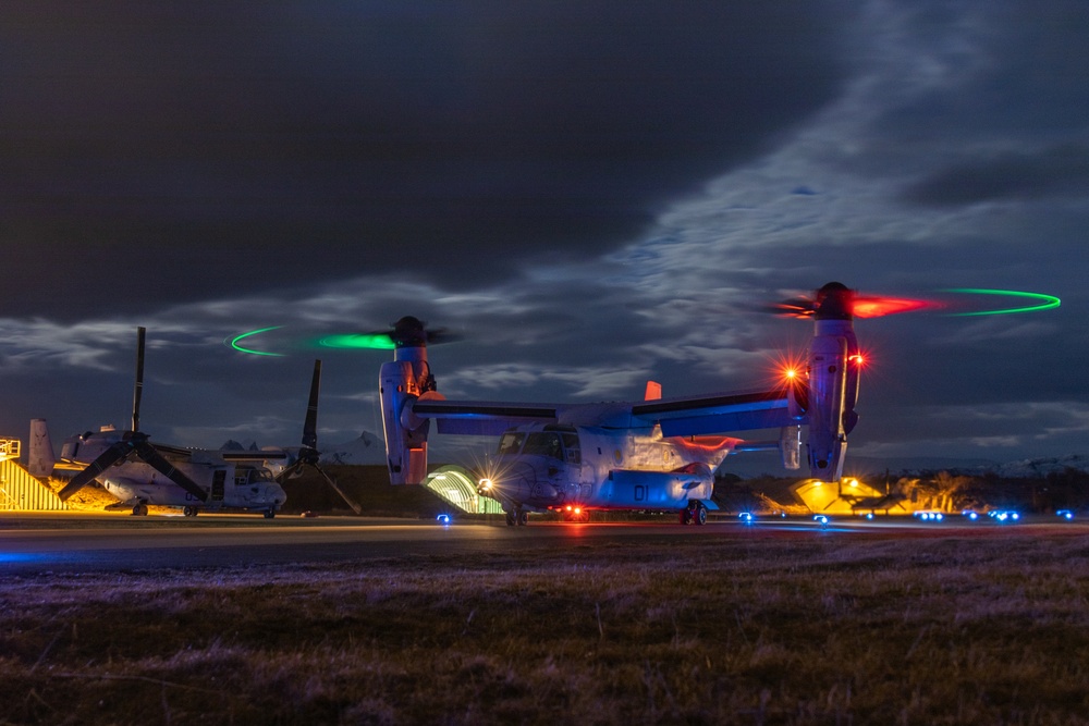 Ospreys Fly Around The Clock In Norway