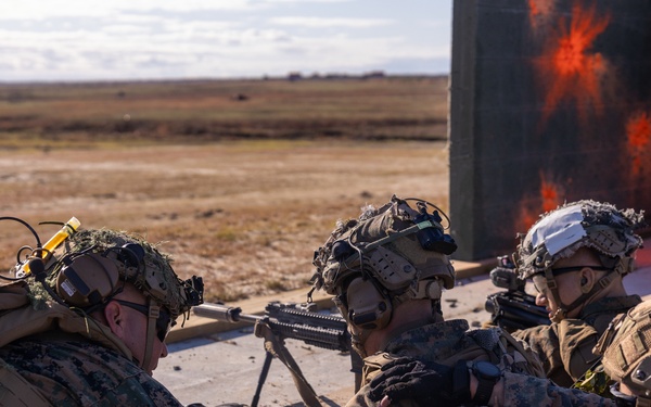 1/2 G-29 Platoon Supported Attacks