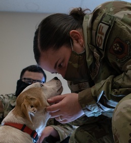 US Army veterinarians provide training for Air Force military working dog handlers