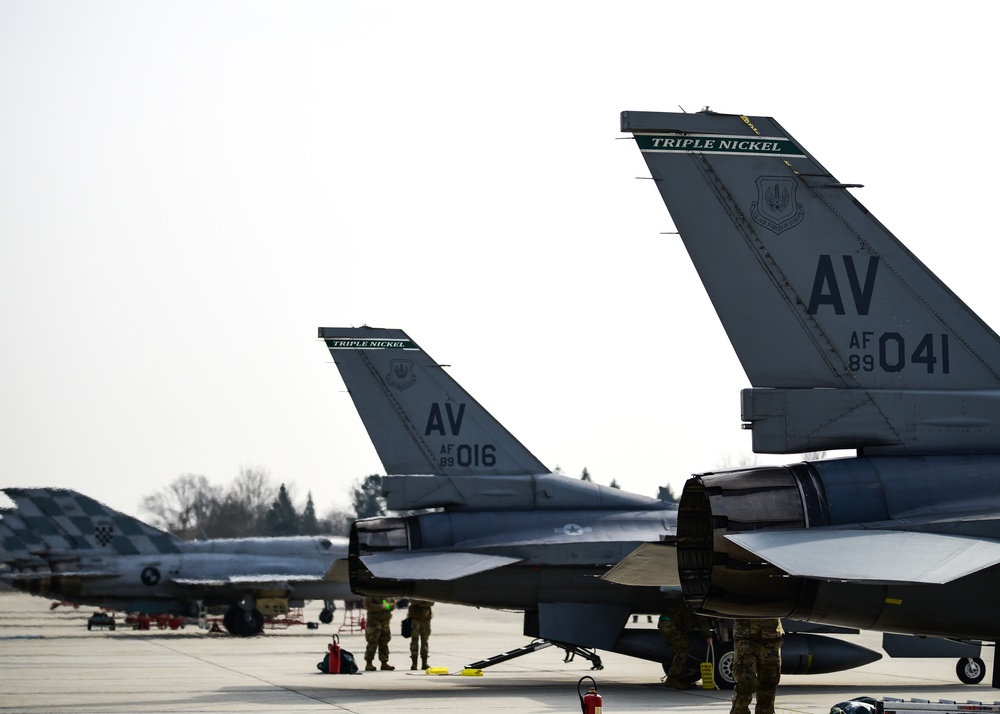 31st Fighter Wing participate in Agile Combat Employment operations with Croatian Allies