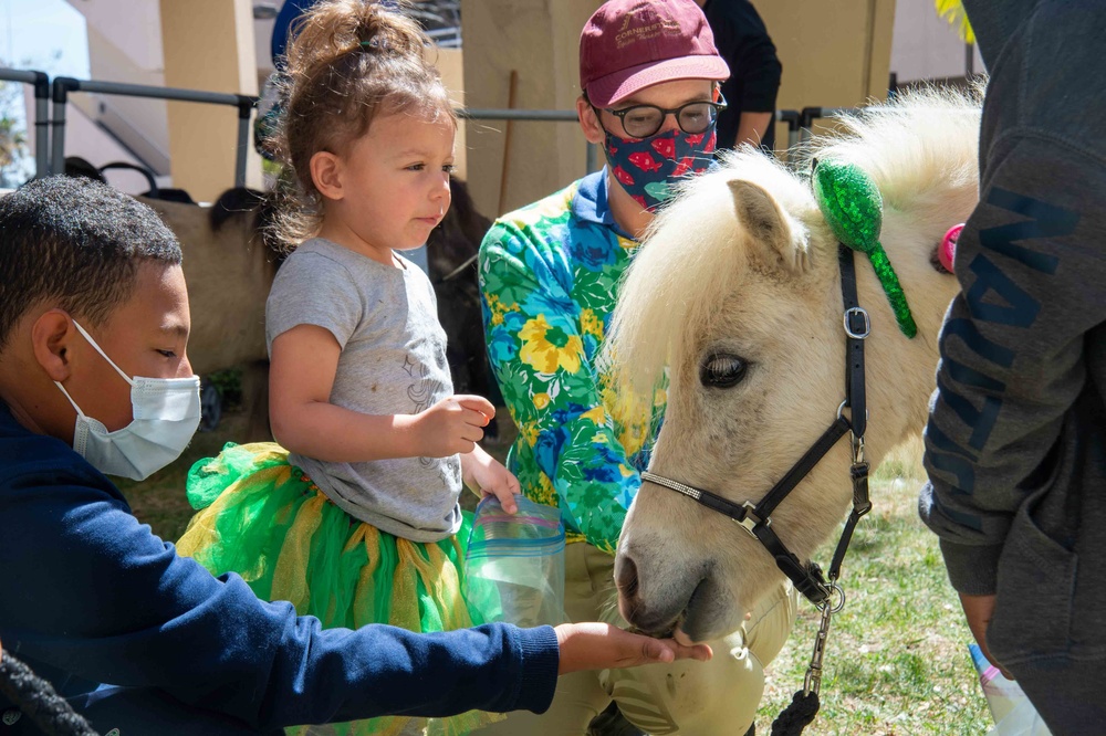 Mini Horses Visit NMRTC San Diego March 17