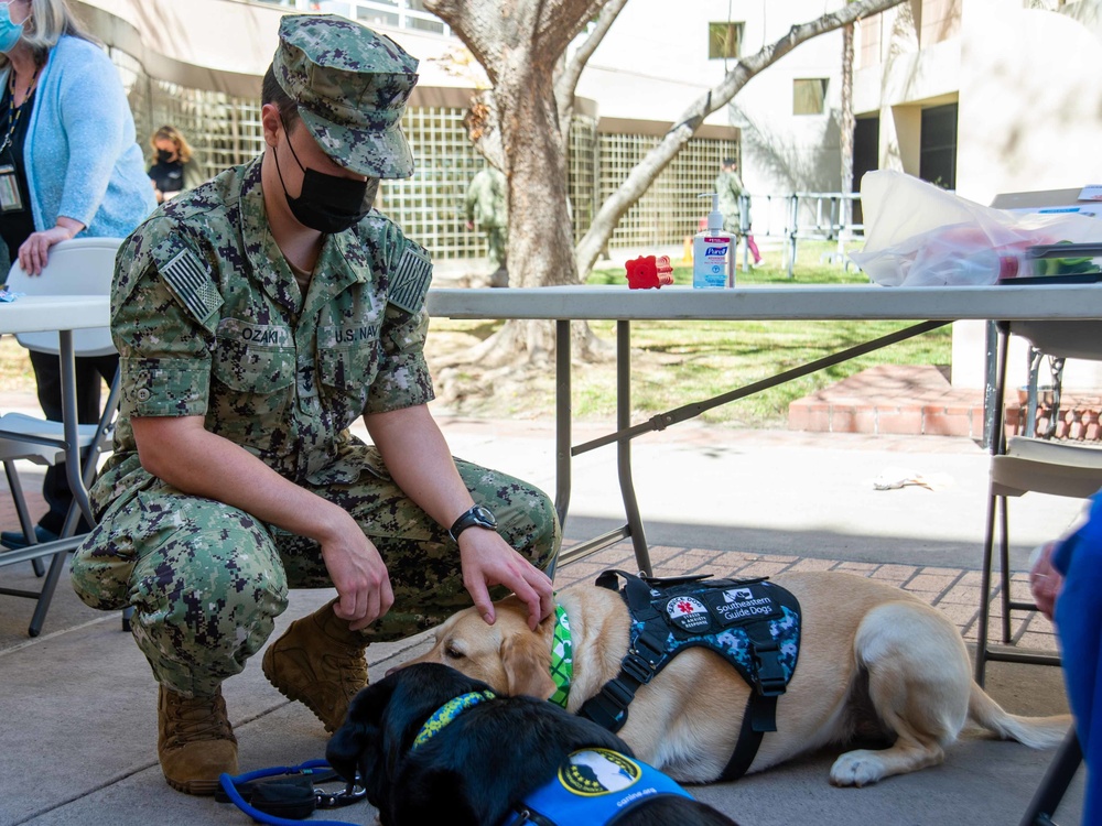 Mini Horses Visit NMRTC San Diego March 17