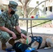 Mini Horses Visit NMRTC San Diego March 17