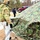Soldiers, Airmen learn to build Arctic tents during CWOC training at Fort McCoy