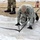 Soldiers, Airmen learn to build Arctic tents during CWOC training at Fort McCoy