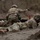Washington National Guard 2022 Best Warrior competitors aim to win