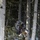 Infantryman Returns Fire