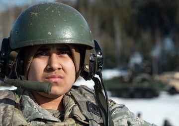 Keeping watch in the Arctic