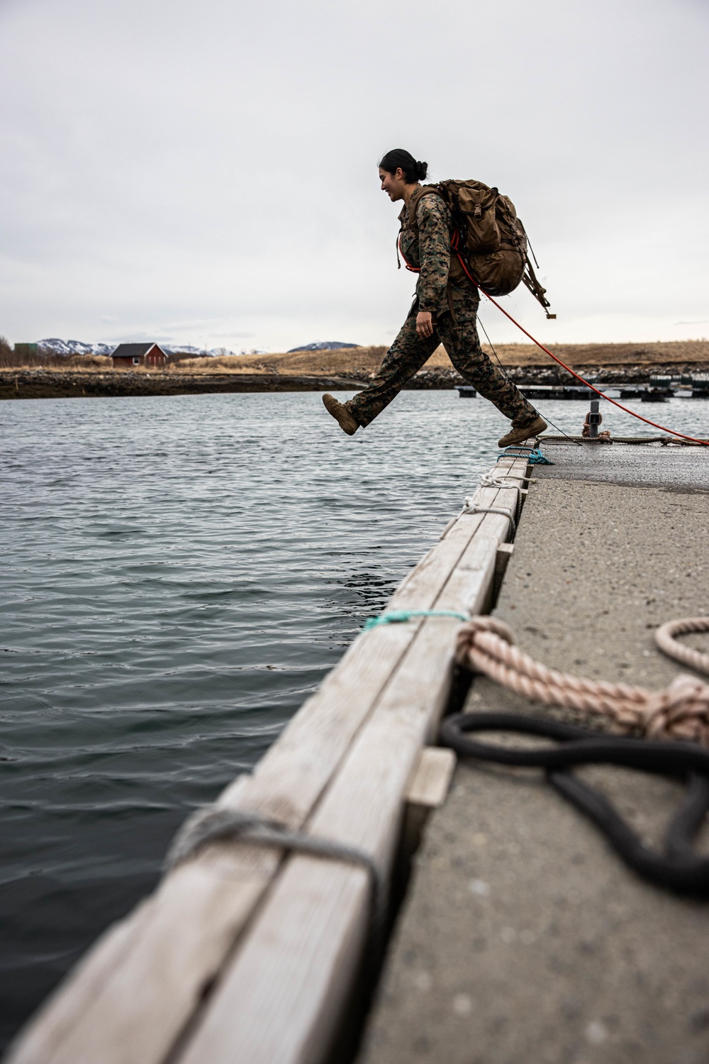 DVIDS Images Exercise Cold Response 2022 Marines Conduct Cold Water