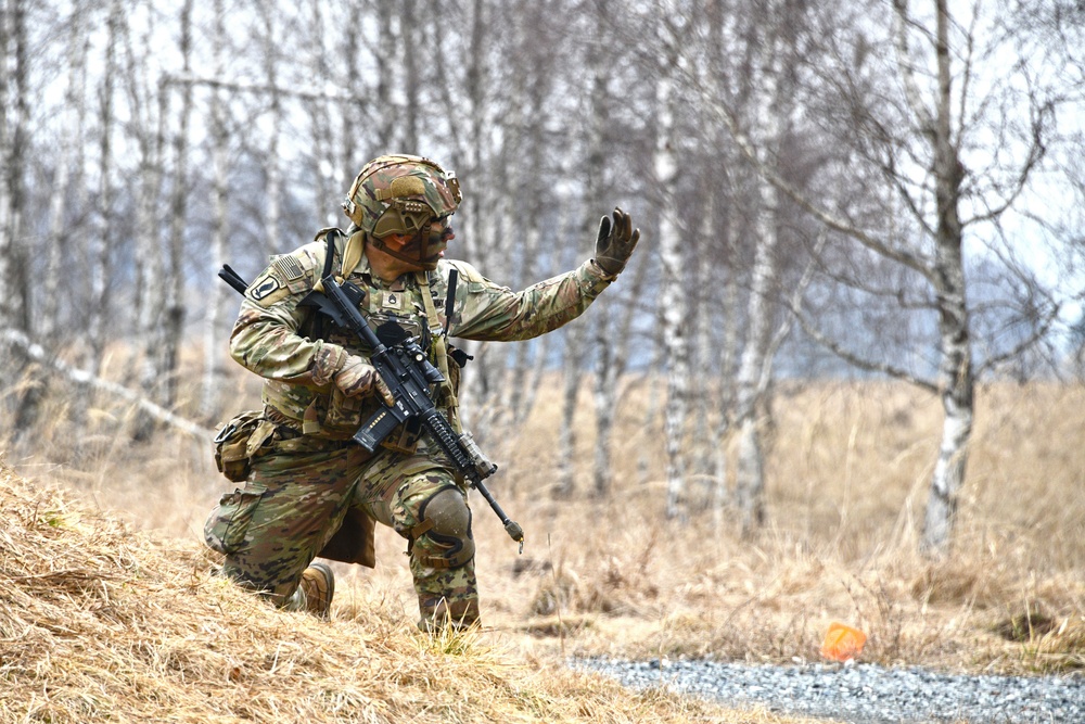 1-503rd IR, 173rd AB Exercise Eagle Agility