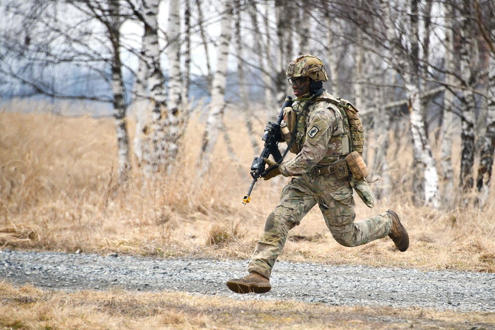 DVIDS - Images - 1-503rd IR, 173rd AB Exercise Eagle Agility [Image 5 ...