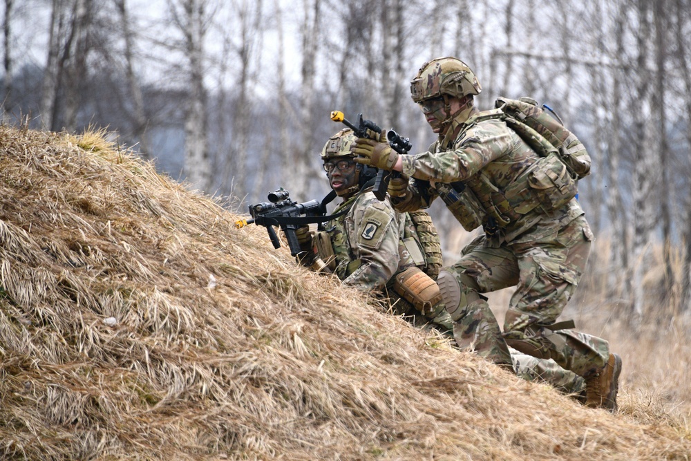 1-503rd IR, 173rd AB Exercise Eagle Agility