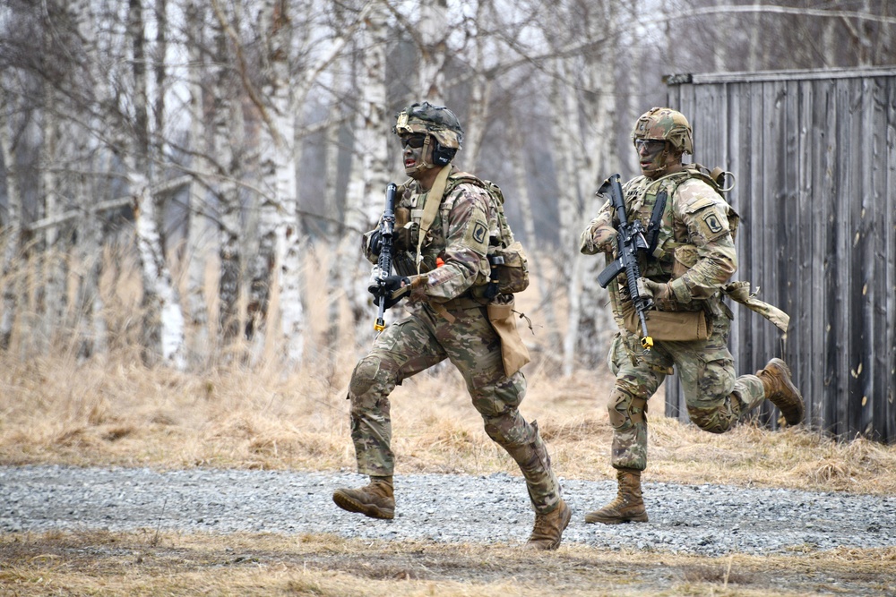 1-503rd IR, 173rd AB Exercise Eagle Agility