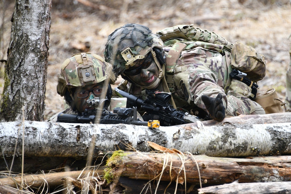 1-503rd IR, 173rd AB Exercise Eagle Agility