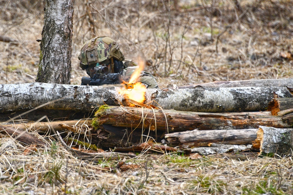 1-503rd IR, 173rd AB Exercise Eagle Agility