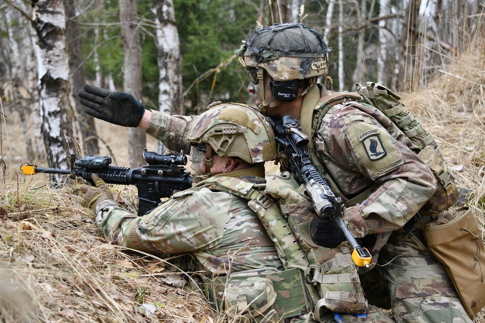 1-503rd IR, 173rd AB Exercise Eagle Agility