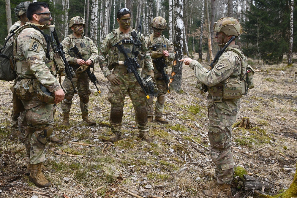 1-503rd IR, 173rd AB Exercise Eagle Agility