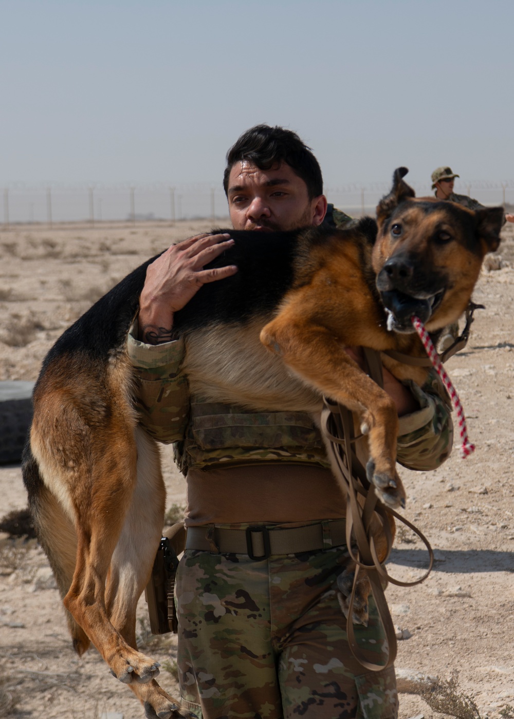 Air Force, Army, Navy, conduct K9 training