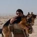 Air Force, Army, Navy, conduct K9 training