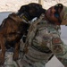 Air Force, Army, Navy, conduct K9 training