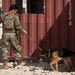 Air Force, Army, Navy train on K9 emergency response