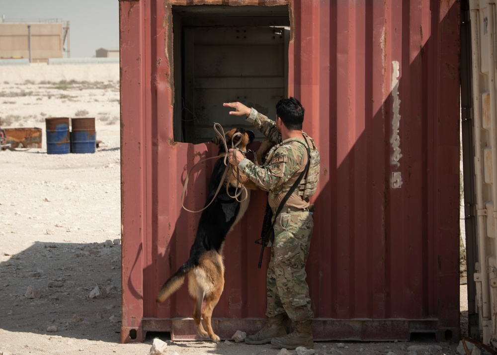 Air Force, Army, Navy train on K9 emergency response