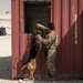 Air Force, Army, Navy train on K9 emergency response