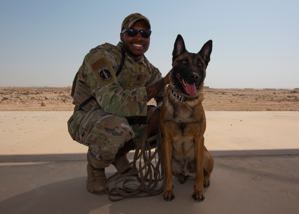 Air Force, Army, Navy train on K9 emergency response