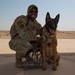 Air Force, Army, Navy train on K9 emergency response