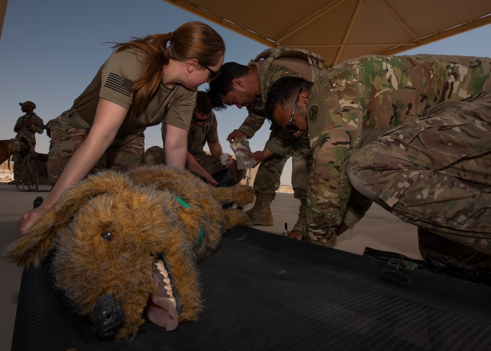 Air Force, Army, Navy train on K9 emergency response