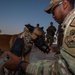 Air Force, Army, Navy train on K9 emergency response