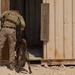 Air Force, Army, Navy train on K9 emergency response