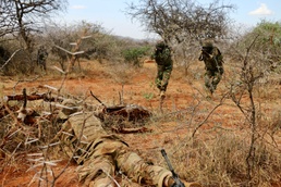 Justified Accord '22