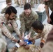 Kuwaiti and U.S. Soldiers exchange medical knowledge