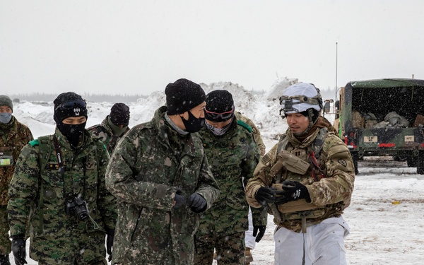 Allies with Arctic Field Artillery