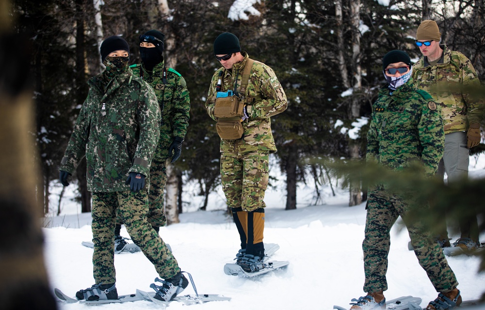 One Foot in Front of the Other