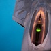 50th EARS refuels F-22 Raptors