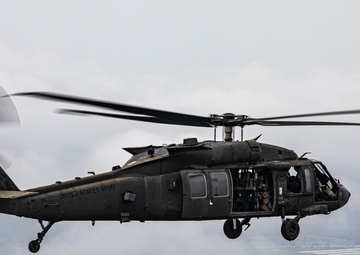 Hanuman Guardian 22 Flight Mission