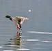 NATURE PHOTOS AT LAKE FIMON, VICENZA, ITALY
