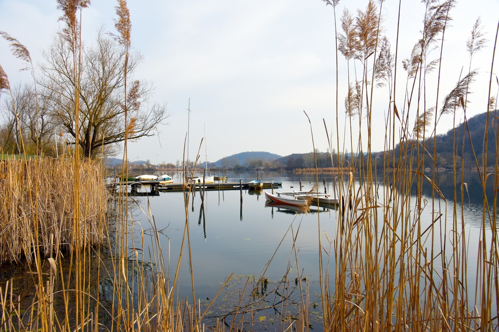 NATURE PHOTOS AT LAKE FIMON, VICENZA, ITALY